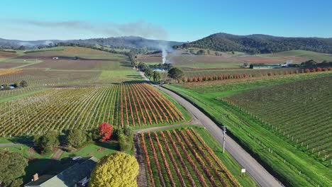 Sobre-Viñedos,-Una-Casa-De-Campo-Y-Hacia-Una-Quema-Con-Niebla-Y-Colinas-Más-Allá-En-El-Valle-De-Yarra,-Cerca-De-Yarra-Glen.