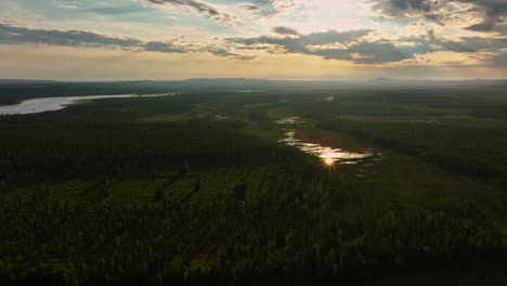 Aerial-view-circling-toward-a-arctic-swamp,-sunny,-summer-evening,-in-Lapland