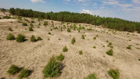 Hermoso-Paisaje-Desértico-Con-Bosque-De-Pinos-En-El-Fondo,-Vista-Aérea-De-Drones-Fpv