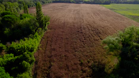 Luftaufnahme-Eines-Reifen-Weizenfeldes-Im-Sonnenlicht-In-Frankreich