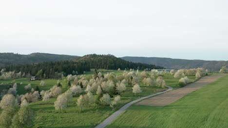 Aerial-drone-video-showcases-lush,-hilly-landscape-near-Hrinova,-Slovakia,-alive-with-vibrant-spring-colors