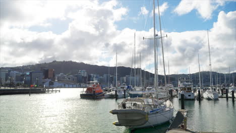 Yachts-in-Wellington-Marina,-New-Zealand