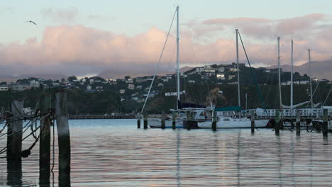 Zeitraffer-Des-Sonnenuntergangs-über-Evans-Bay-In-Wellington,-Neuseeland