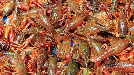 Mercado-Asiático-De-Mariscos-Con-Capturas-Vivas