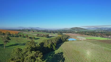 Sobre-árboles-Y-Viñedos-Hacia-Las-Colinas-Cubiertas-De-Niebla-Del-Valle-De-Yarra-Cerca-De-Yarra-Glen