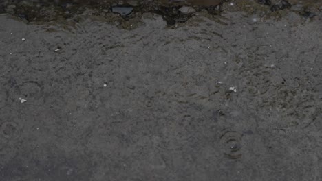Slow-motion-shot-of-raindrops-hitting-the-ground,-forming-ripples-on-the-water-surface