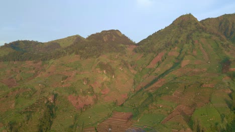 Aerial-view-of-mountain-slopes-fully-covered-with-potato-plantations-in-Indonesia