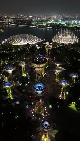Jardines-Junto-A-Los-Superárboles-De-La-Bahía-Iluminados-Por-La-Noche,-Singapur,-Verticales