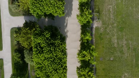 üppiger-Grüner-Park-Im-Naturmuseum-Von-Paris-An-Einem-Sonnigen-Tag,-Luftaufnahme