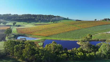 Antena-Acercándose-A-Una-Presa-Sobre-Un-Viñedo-En-El-Valle-De-Yarra-Cerca-De-Yarra-Glen-En-Victoria,-Australia