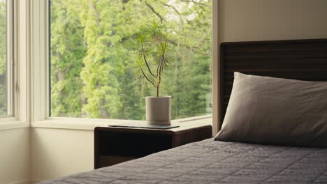 a-neatly-made-bed-with-a-bedside-table-holding-a-small-plant-next-to-windows-letting-in-natural-light