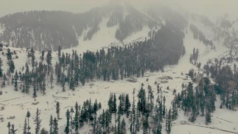 Imágenes-De-Airel-Tomadas-Por-Un-Dron-Que-Volaba-Hacia-Atrás-Mirando-Hacia-La-Montaña-Y-Los-árboles-Mientras-Nevaba-Y-La-Montaña-Cubierta-De-Nieve-En-Pakistán,-El-Valle-De-Naltar,-Gilgit.