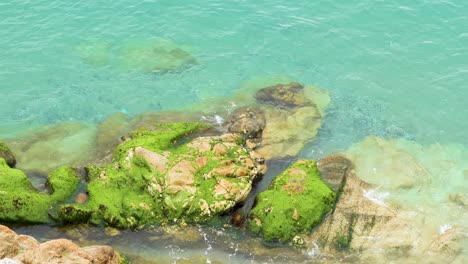 Top-view-of-calm,-crystal-clear-sea-water-crashing-against-rocks-full-of-algae