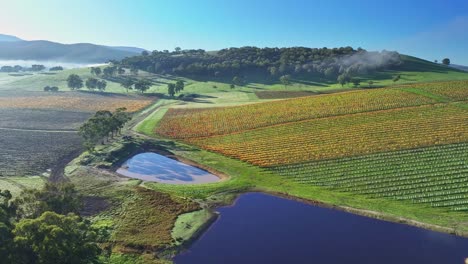 über-Zwei-Dämme-In-Einem-Weinberg-Im-Yarra-Valley-In-Der-Nähe-Von-Yarra-Glen-Und-In-Richtung-Nebel-Entlang-Der-Baumgrenze