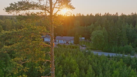 Luftbild-Kamerafahrt-Zeigt-Ein-Öko-Haus-Hinter-Einer-Fichte,-Sommersonnenaufgang