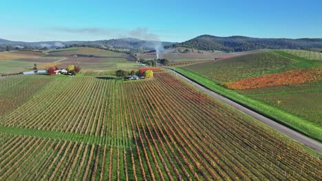 Sobre-Viñedos-Y-Casa-De-Campo-Hacia-Una-Quema-Y-Niebla-Alrededor-De-Las-Colinas-Cerca-De-Yarra-Glen