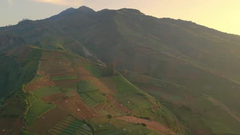 Luftaufnahme-Von-Kartoffelplantagen-An-Den-Hängen-Eines-Hügels-In-Indonesien