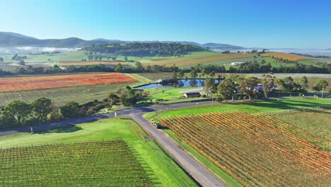 Overhead-reveal-of-vineyards-in-Pinnacle-Lane-in-the-Yarra-Valley-near-Yarra-Glen-in-Victoria-Australia