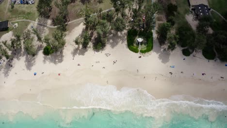 Top-down-view-of-Oahu's-white-sand-coastline