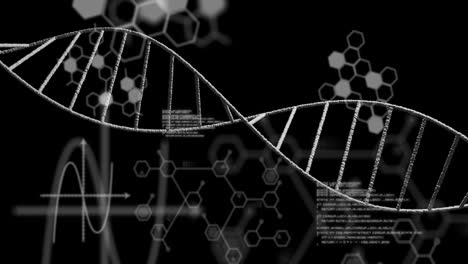 Animation-Eines-DNA-Strangs-Mit-Chemischer-Formel-Und-Datenverarbeitung-Auf-Schwarzem-Hintergrund