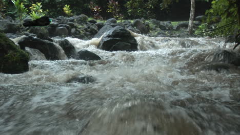 BUTTERFLY-AT-A-WATERFALL