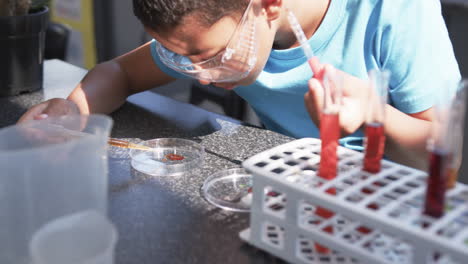 In-a-school-science-lab-classroom,-an-Asian-student-examines-a-petri-dish