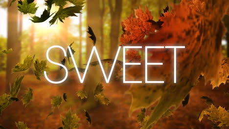 Animation-of-sweet-text-over-falling-leaves