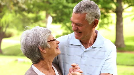 Afectuosa-Pareja-De-Ancianos-En-El-Parque-