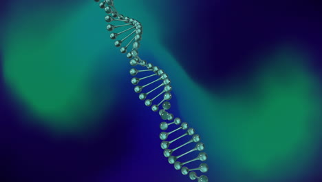 Animation-Eines-DNA-Strangs,-Der-Sich-über-Einem-Grünen-Und-Schwarzen-Hintergrund-Dreht