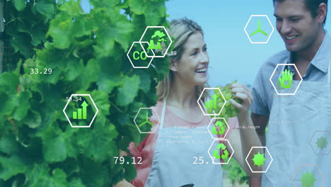 Animation-of-network-of-eco-icons-over-happy-caucasian-couple-with-grapes