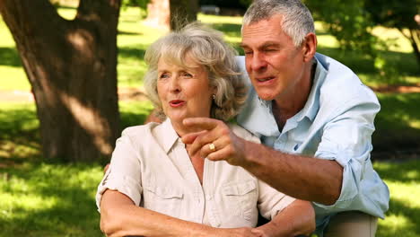 Retired-man-showing-his-disabled-wife-something