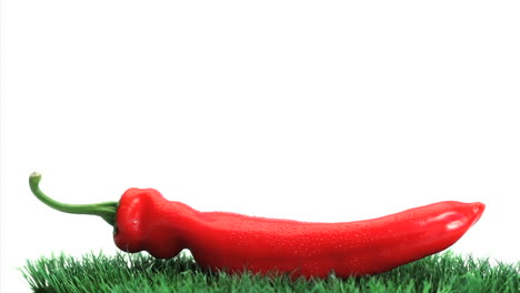 Red-pepper-on-grass-rotating-