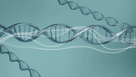 Animation-of-diagrams-over-dna-strands