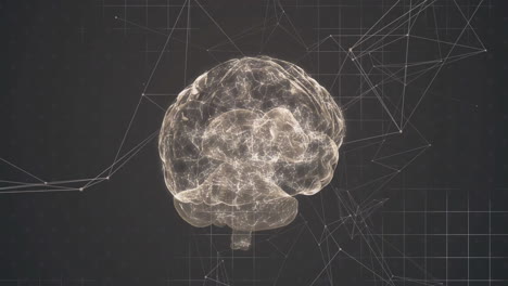 Animation-Eines-Digitalen-Gehirns,-Das-über-Einem-Netzwerk-Von-Verbindungen-Rotiert
