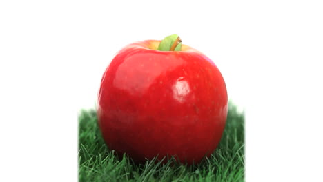 Red-apple-on-grass-rotating-
