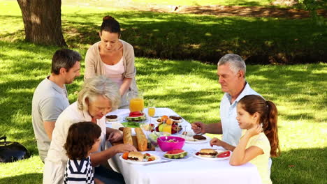 Glückliche-Familie-Beim-Gemeinsamen-Grillen-Im-Park