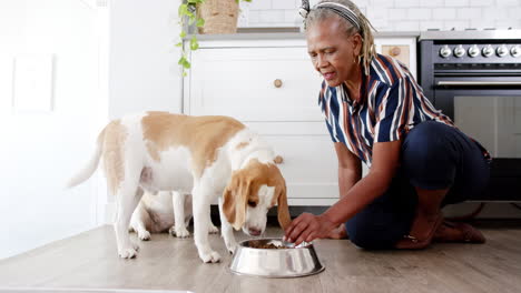 African-American-senior-woman-feeding-dog-in-kitchen
