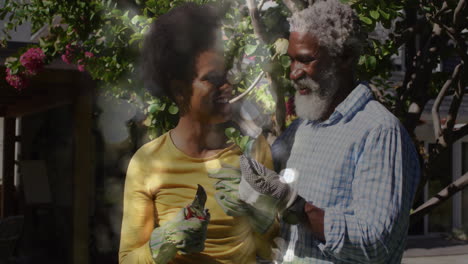 Animation-of-light-spots-over-african-american-couple-working-in-garden