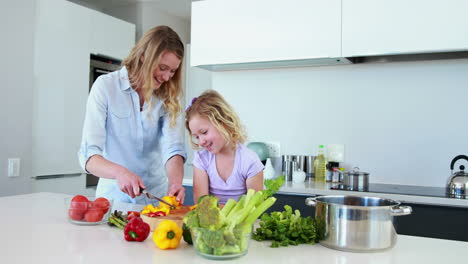 Lächelnde-Mutter-Und-Tochter-Bereiten-Gemeinsam-Ein-Gesundes-Abendessen-Zu