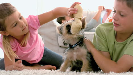 Siblings-playing-with-puppy-and-bone