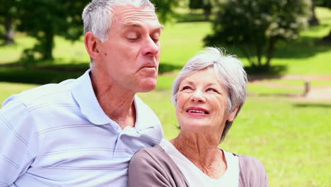 Senior-woman-feeding-her-husband-a-strawberry-in-the-park