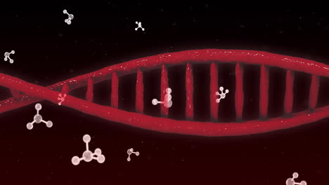 Animación-De-La-Cadena-De-ADN-Sobre-Moléculas.
