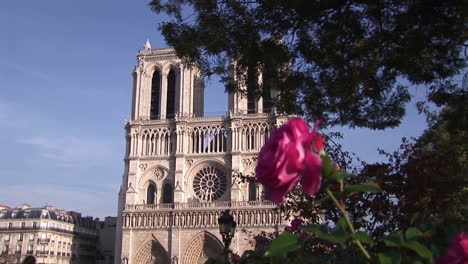 Gargoyle-on-Notre-Dame