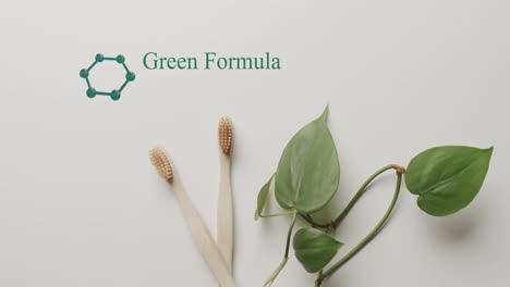 Animation-of-green-formula-text-and-ring-of-molecules-with-wooden-toothbrushes-and-leaves-on-grey