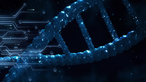 Animation-of-digital-data-processing,-circuit-board-over-dna-strand