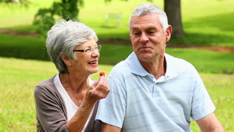 Afectuosa-Pareja-De-Ancianos-Charlando-En-El-Parque-