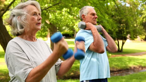 Retired-couple-lifting-weights-outside