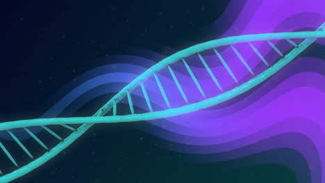 Animation-of-dna-strand-over-purple-shapes