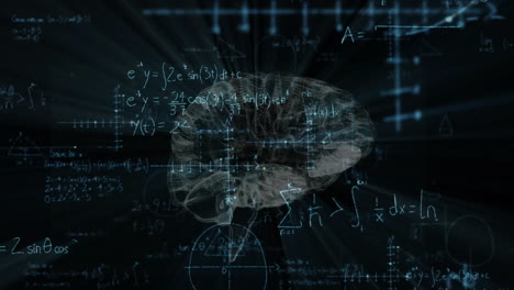 Animation-of-mathematical-data-processing-over-human-brain