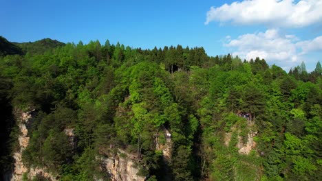 Couple-at-a-viewpoint-in-Tianzi-Mountain-amidst-lush-green-landscape-and-towering-rock-formations